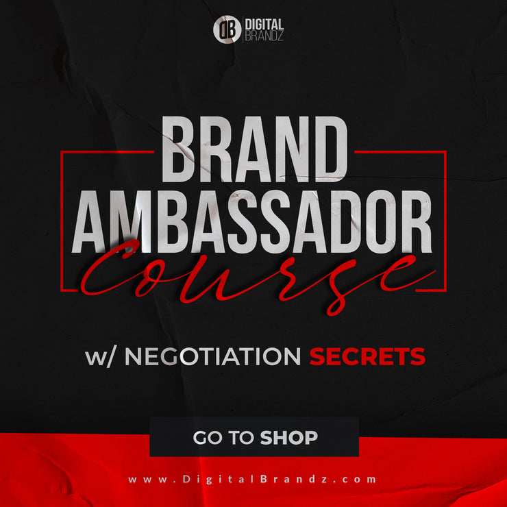 Brand Ambassador Course w/top influencer info